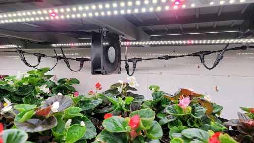 Модуль Sunlike 4000 - Универсальный. Белый свет.