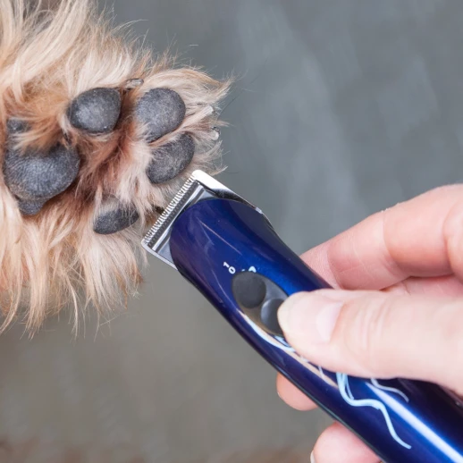Триммер Heiniger Style Mini для стрижки кошек и собак