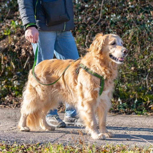 Поводок Ferplast DAYTONA DELUXE G25/120 зелено-черный