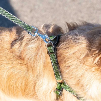 Поводок Ferplast DAYTONA DELUXE G25/120 зелено-черный