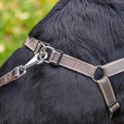 Поводок Ferplast DAYTONA DELUXE G25/120 зелено-черный