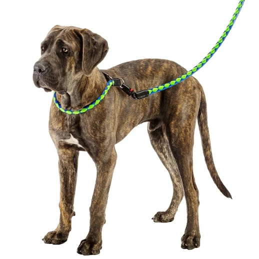 Поводок Ferplast TWIST MATIC G12/110 зеленый с синим