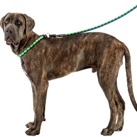 Поводок Ferplast TWIST MATIC G12/110 зеленый с синим