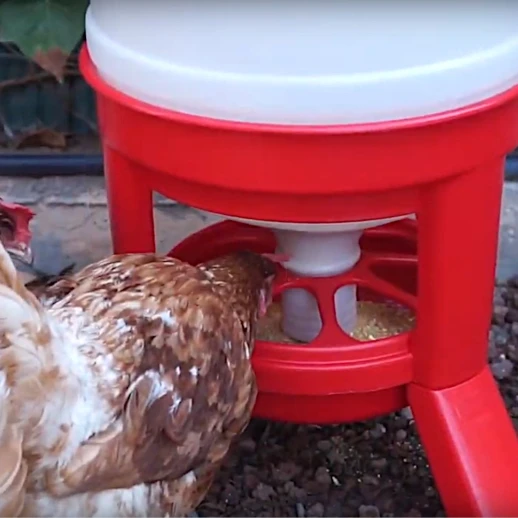 Кормушка бункерная Gaun 21 кг. пластик с разд. решеткой на ножках