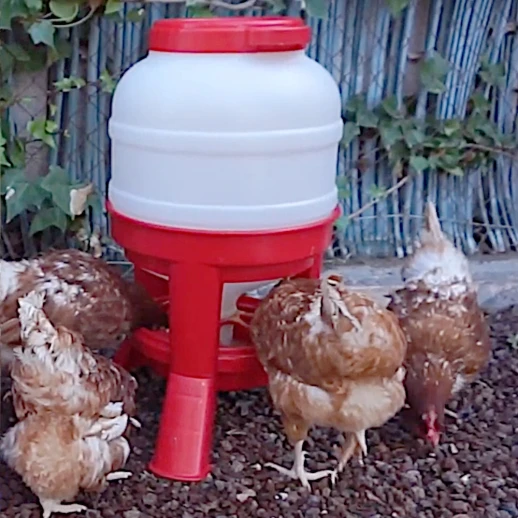 Кормушка бункерная Gaun 21 кг. пластик с разд. решеткой на ножках