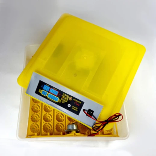 Инкубатор HHD 56 автоматический для яиц на 220В/12В от сети и аккумулятора