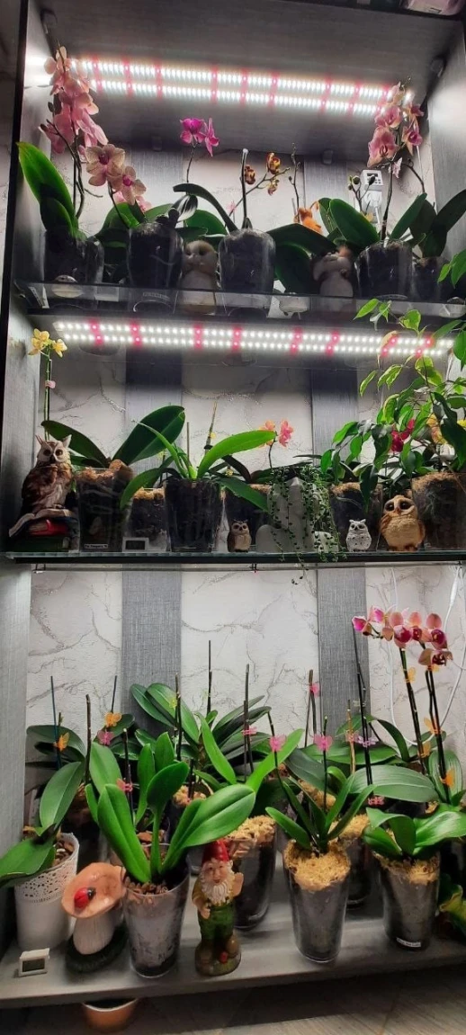 Модуль Биколор Комфорт - Рассада, Микрозелень. Белый свет