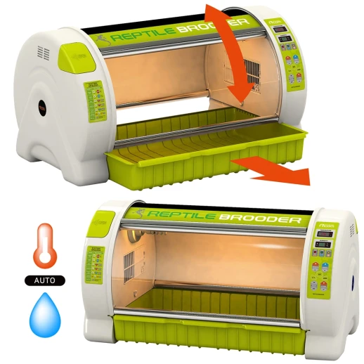 Брудер для рептилий Rcom Reptile brooder ICU 90 Large