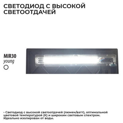 Аквариум Newa Mirabello MIR 30 young-MF, 30 л, с фильтром и освещением, серый NEW VERSION