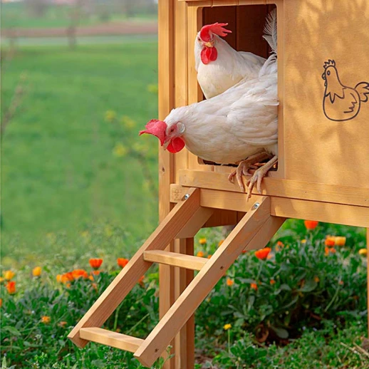 Деревянный домик для кур Ferplast HEN HOUSE 30