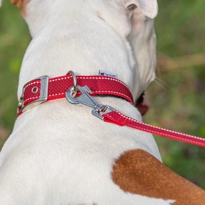 Поводок Ferplast DAYTONA DELUXE G25/120 красно-черный