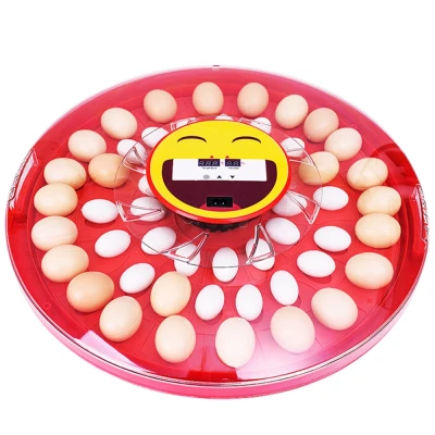 Инкубатор HHD S30