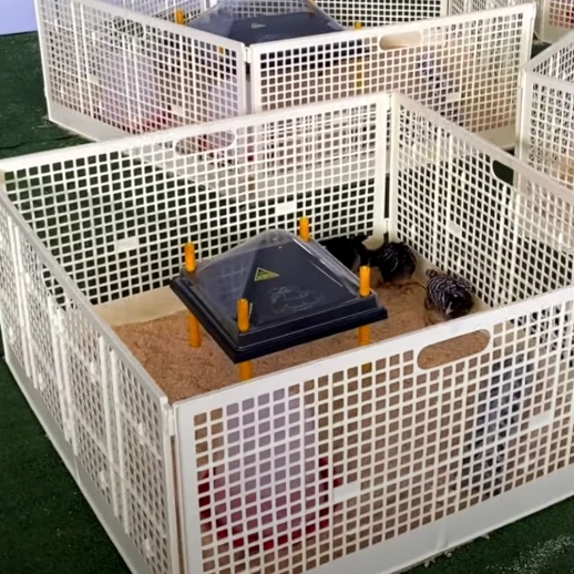 Решетка-ограждение для выращивания цыплят 400х800 мм