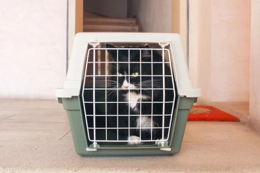 Переноска Ferplast ATLAS 20 EL без аксессуаров для кошек и собак