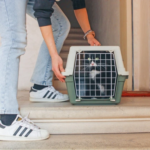 Переноска Ferplast ATLAS 20 EL без аксессуаров для кошек и собак