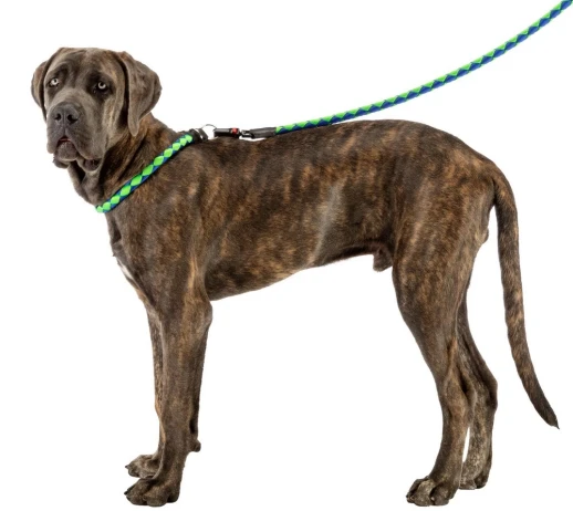 Поводок Ferplast TWIST MATIC G18/110 зеленый с синим