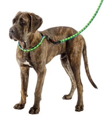 Поводок Ferplast TWIST MATIC G18/110 зеленый с синим