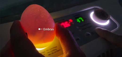 Инкубатор Rcom 20 MAX DO с овоскопом