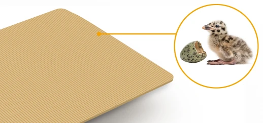 Инкубатор Rcom 20 MAX DO с овоскопом