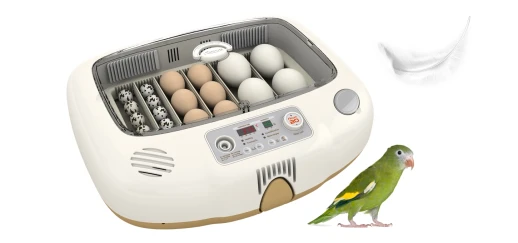 Инкубатор Rcom 20 MAX DO с овоскопом