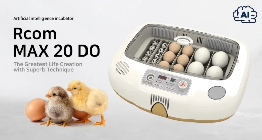 Инкубатор Rcom 20 MAX DO с овоскопом