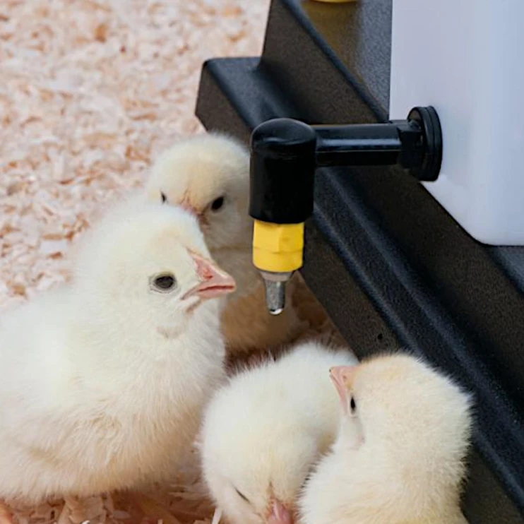 Ниппель поения 360 градусов для цыплят пластик резьба 1/8