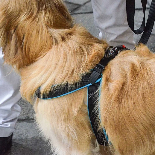 Поводок Ferplast ERGOFLUO MATIC G20/120 голубой