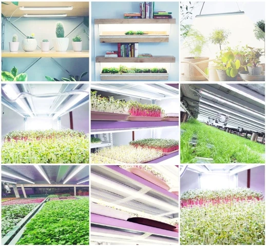 Фитолампа для растений линейная VA-2 90 см 15Вт