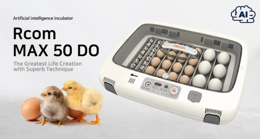 Инкубатор Rcom 50 MAX DO с овоскопом