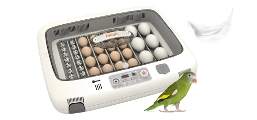 Инкубатор Rcom 50 MAX DO с овоскопом