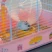 Клетка Ferplast CRICETI 9 PRINCESS для хомяков x1