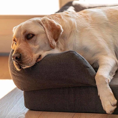 Лежак Ferplast MEMOR-ONE XL для собак