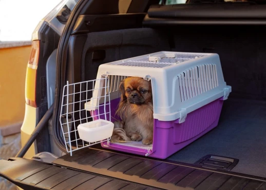 Переноска Ferplast ATLAS 20 OPEN с ковриком и поилкой для кошек и собак