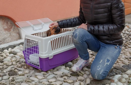 Переноска Ferplast ATLAS 20 OPEN с ковриком и поилкой для кошек и собак