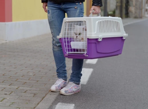 Переноска Ferplast ATLAS 20 OPEN с ковриком и поилкой для кошек и собак