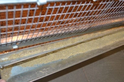 Брудер для цыплят Базис 90-БР-1 Стандарт