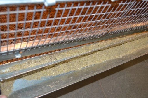 Брудер для цыплят металл