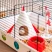 Клетка Ferplast CRICETI 9 SPACE для хомяков x1