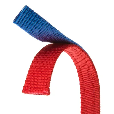 Ошейник Ferplast DUAL CF25/53 PYRAMIDS с аппликациями сине-красный