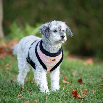 Шлейка Ferplast NIKITA FUR M дышащая с теплой подкладкой клетка