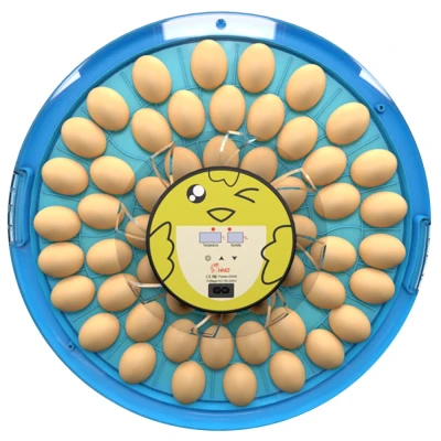 Инкубатор HHD S52