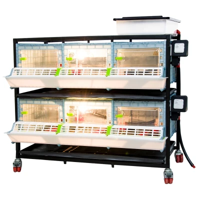 Брудер для цыплят Cimuka CB25 3 секции 2 яруса пластиковый