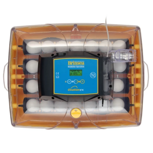 Инкубатор Brinsea Ovation 28 EX