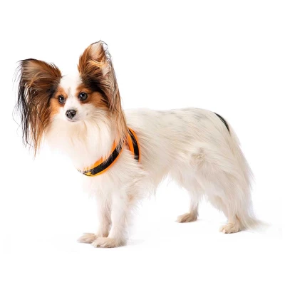 Шлейка Ferplast AGILA FLUO 2 нейлоновая с мягкой подкладкой оранжевая