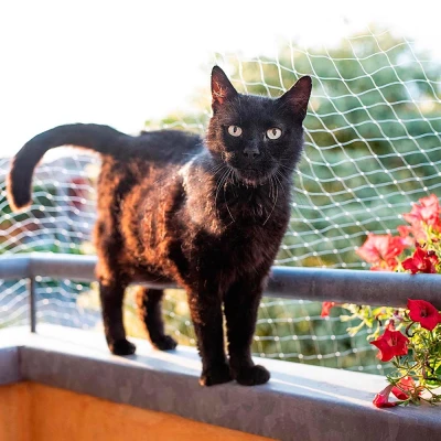 Защитная сетка на балкон Ferplast CAT NET XS 200*h150 нейлон