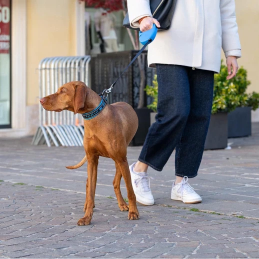 Рулетка Ferplast FLIPPYONE M синяя лента 5м 25кг