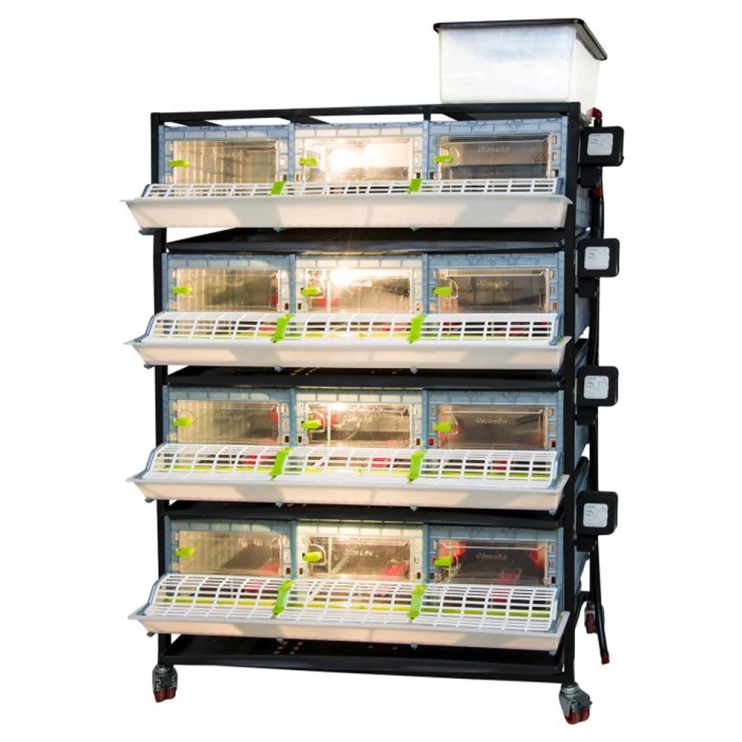 Брудер для цыплят Cimuka CB25 3 секции 4 яруса пластиковый