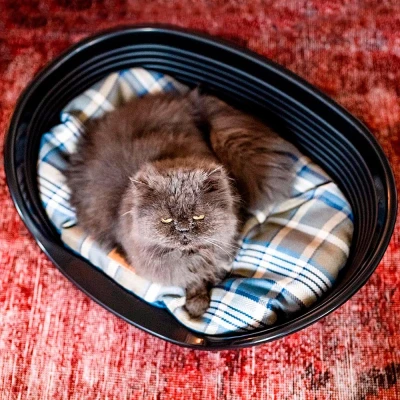 Подушка Ferplast SCOTT 55 коричневая