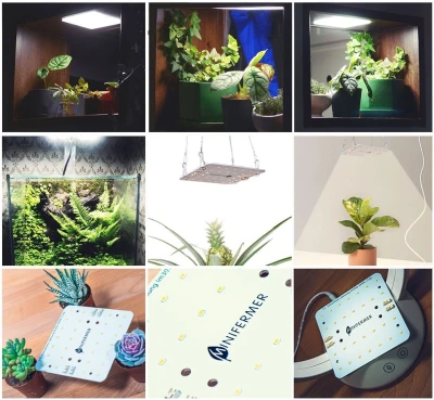 Комплект Quantum board mini 48 Вт