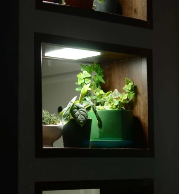 Комплект Quantum board mini 48 Вт